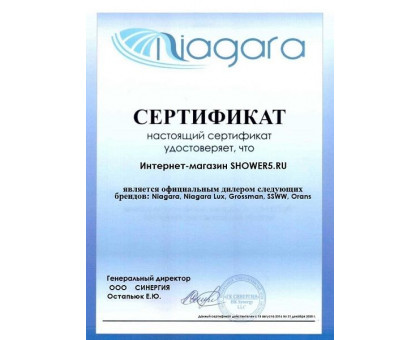 Душевая дверь SSWW LD60-Y22 100 см