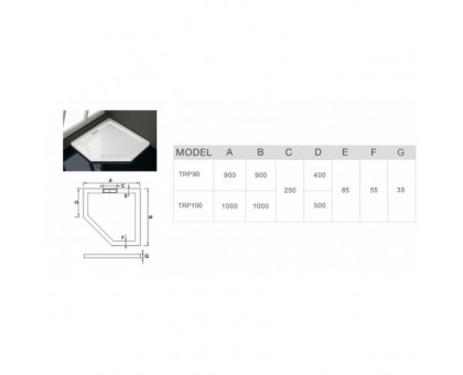 Душевой поддон WeltWasser WW TRP 90 90х90 см с сифоном